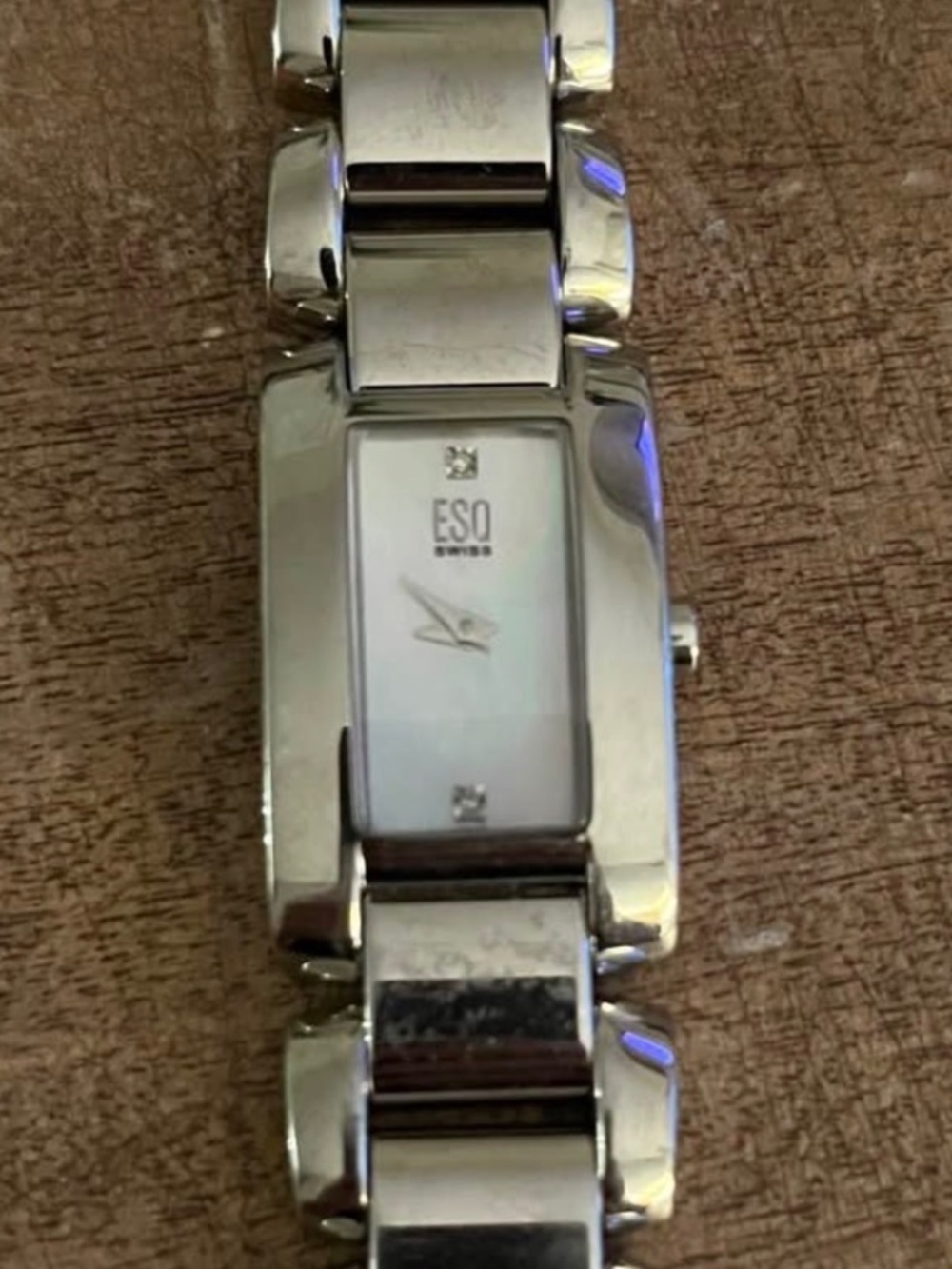 ESQ Swiss Stainless Steel Woman’s Watch